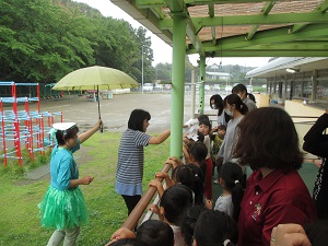 IMG_1742 IMG_1742