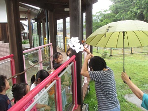 IMG_1743 IMG_1743