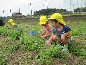 IMG_1574 IMG_1574