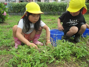 IMG_1579 IMG_1579