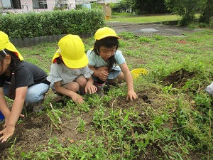 IMG_1580 IMG_1580