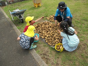 IMG_1596 IMG_1596
