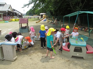 IMG_1791 IMG_1791