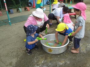 IMG_1792 IMG_1792