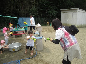 IMG_1795 IMG_1795