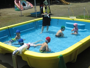 IMG_1714 IMG_1714