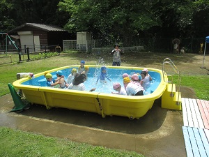 IMG_1707 IMG_1707