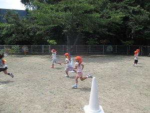 IMG_1912(1) IMG_1912(1)