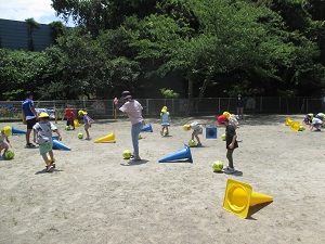IMG_1946(1) IMG_1946(1)