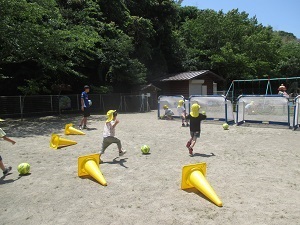 IMG_1955(1) IMG_1955(1)