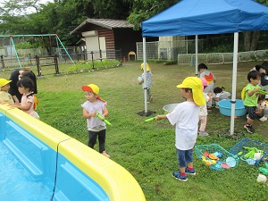 IMG_1985 IMG_1985