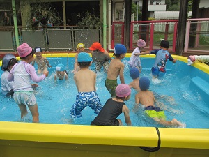 IMG_1749 IMG_1749