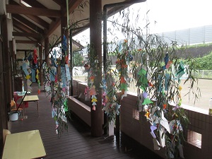 IMG_2057 IMG_2057