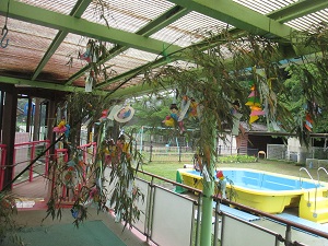 IMG_2056 IMG_2056