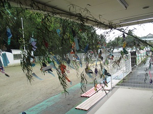 IMG_2055 IMG_2055