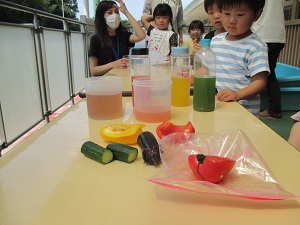 IMG_2130 IMG_2130