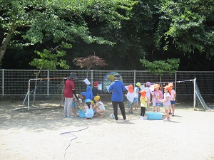 IMG_2133 IMG_2133