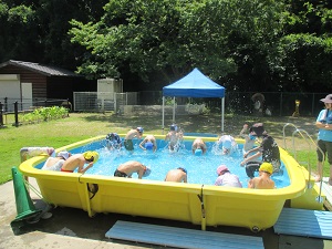 IMG_2149 IMG_2149