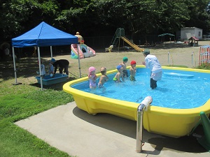 IMG_2166 IMG_2166