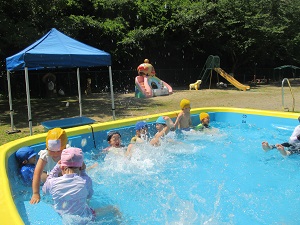 IMG_2168 IMG_2168