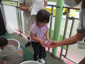 IMG_2145 IMG_2145