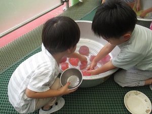 IMG_2146 IMG_2146