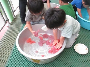 IMG_2147 IMG_2147