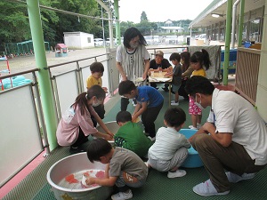 IMG_2148 IMG_2148