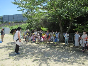 IMG_0215 IMG_0215