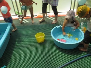 IMG_0205 IMG_0205