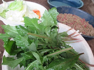 IMG_0239 IMG_0239