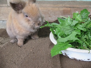 IMG_0248 IMG_0248