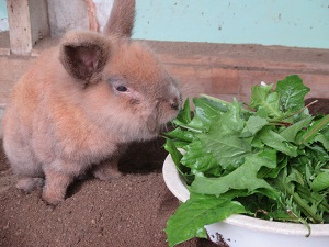 IMG_0249 IMG_0249