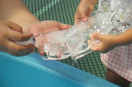 IMG_0311 IMG_0311