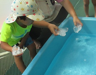 IMG_0315 IMG_0315