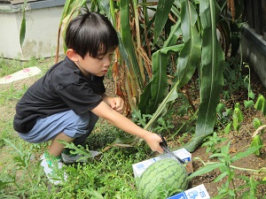 IMG_0235 IMG_0235