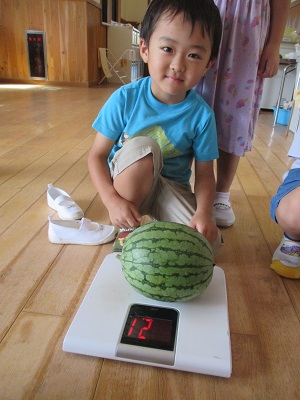 IMG_0237 IMG_0237