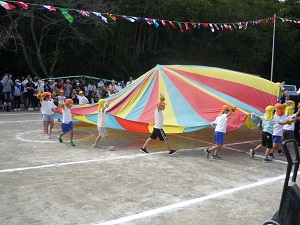 P1150238 P1150238