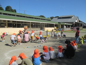IMG_0486 IMG_0486