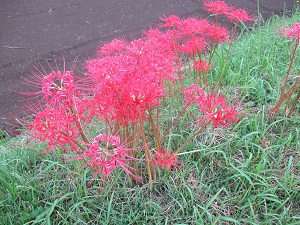 IMG_0763 IMG_0763