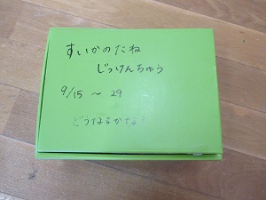 IMG_0714 IMG_0714