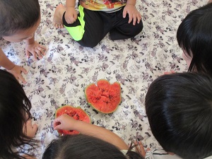 IMG_0377 IMG_0377
