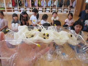 IMG_0712 IMG_0712