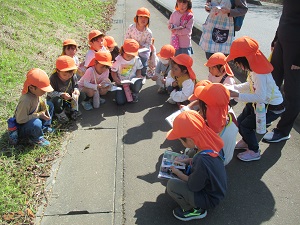 IMG_0774 IMG_0774