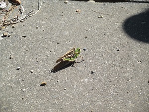 IMG_0773 IMG_0773
