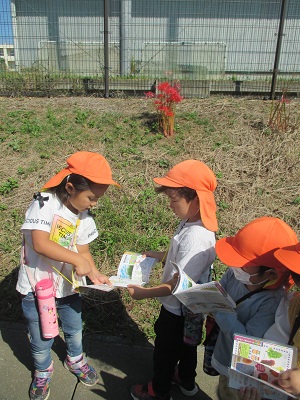 IMG_0779 IMG_0779