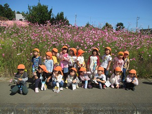 IMG_0785 IMG_0785