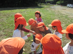 IMG_0798 IMG_0798