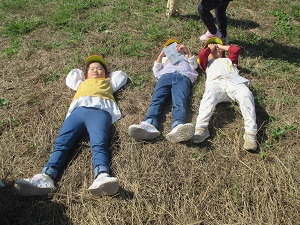 IMG_0805 IMG_0805