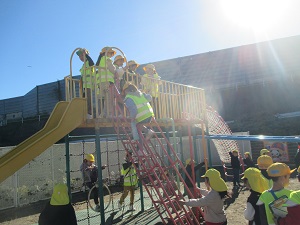 IMG_0953 IMG_0953